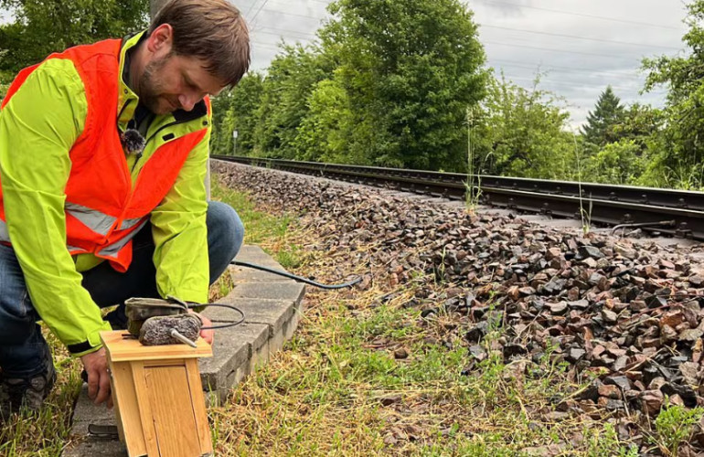 Kartierungsarbeiten Kraichgaubahn Screenshot SWR 